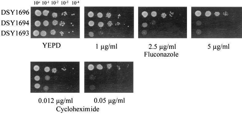 FIG. 5