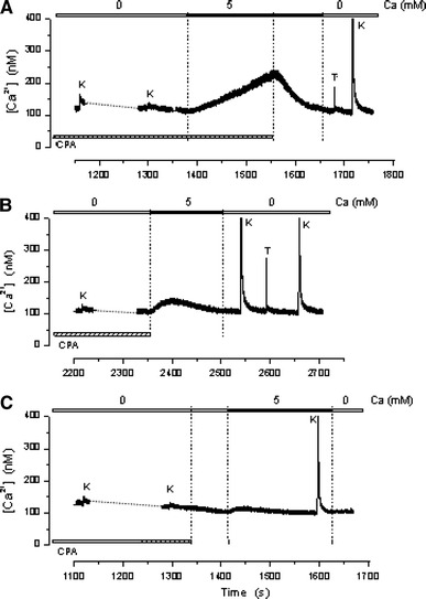 Fig. 3