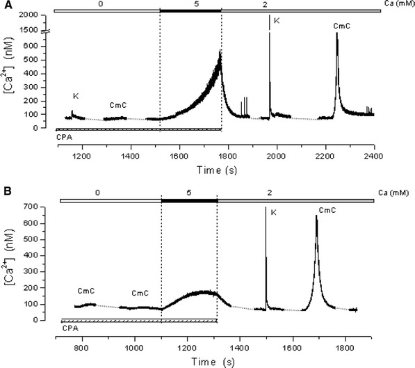 Fig. 2