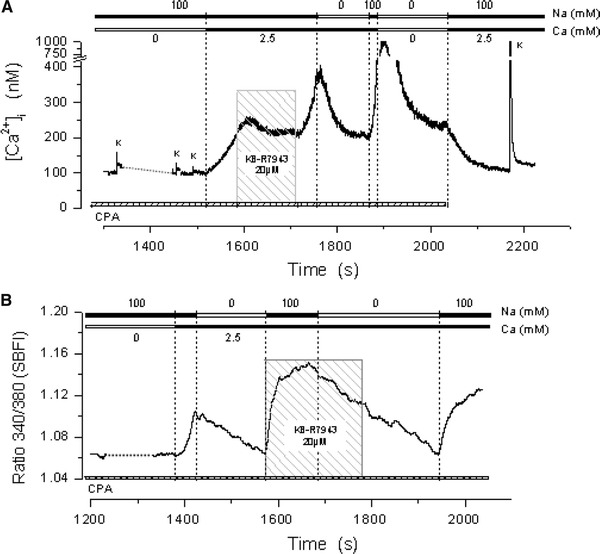 Fig. 8