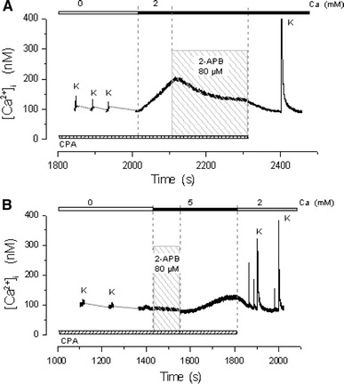 Fig. 4