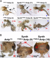 Fig. 3.