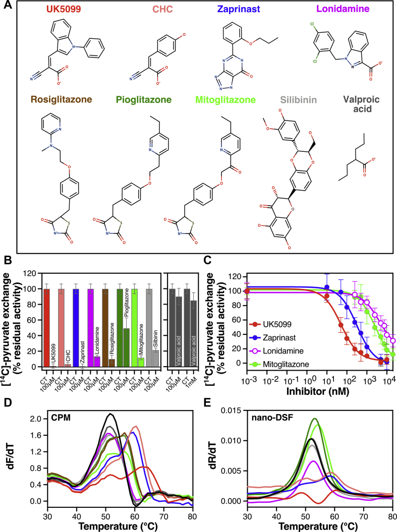 Figure 2