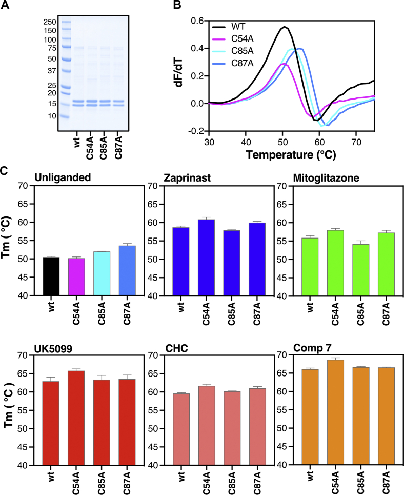 Figure 4