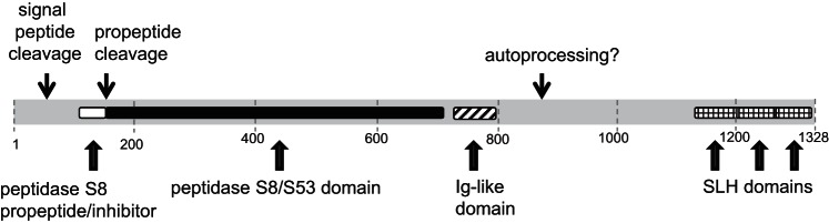 Fig. 8.