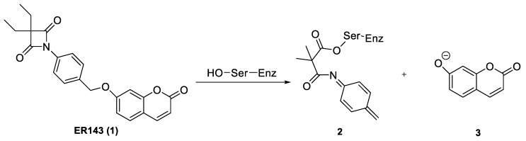 Scheme 1