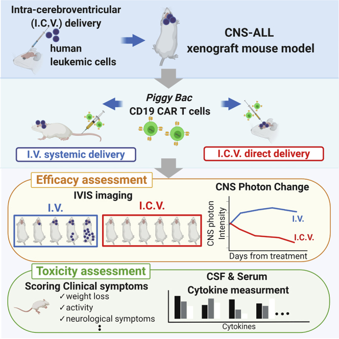 graphic file with name fx1.jpg