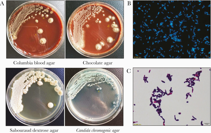 Figure 2.