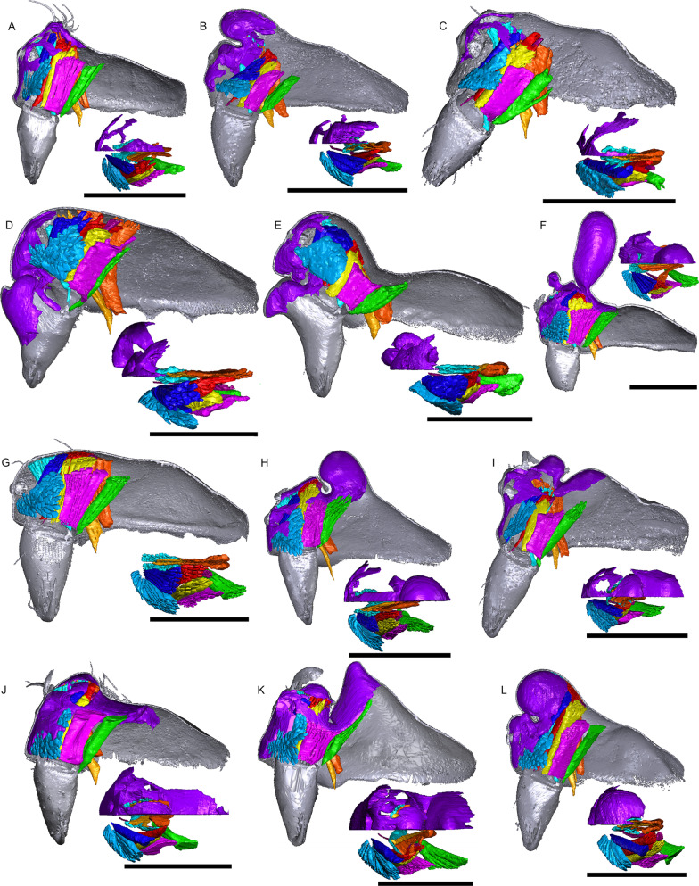 Fig. 12