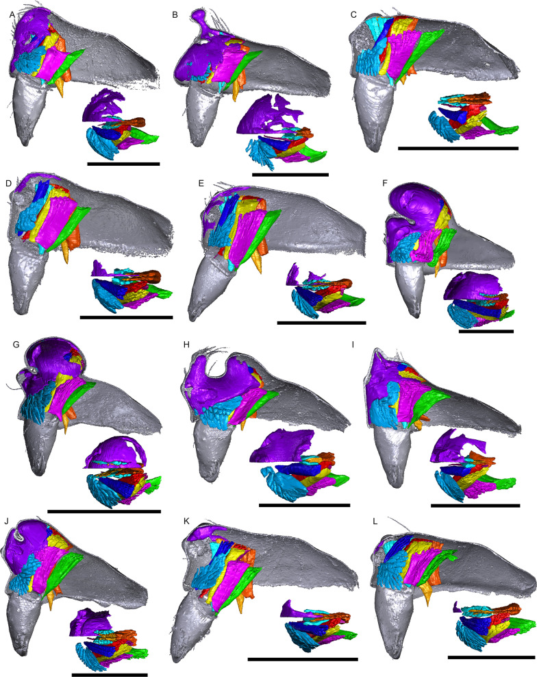 Fig. 14