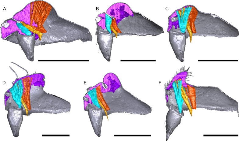 Fig. 20