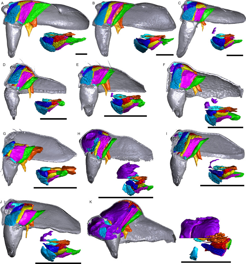 Fig. 10