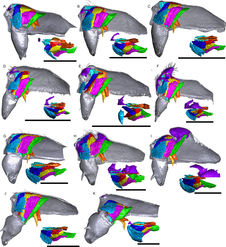 Fig. 15