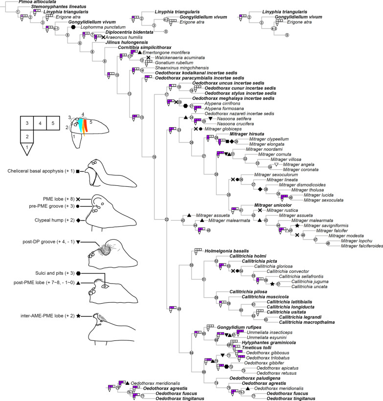 Fig. 16