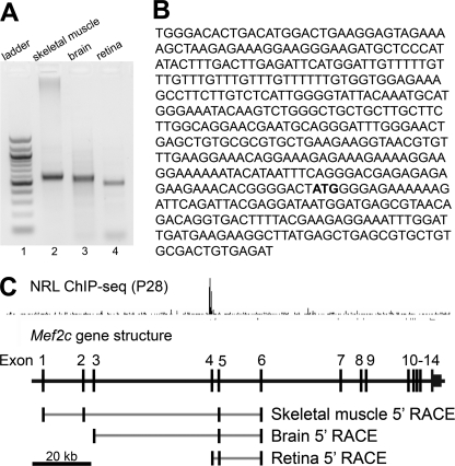 FIGURE 2.