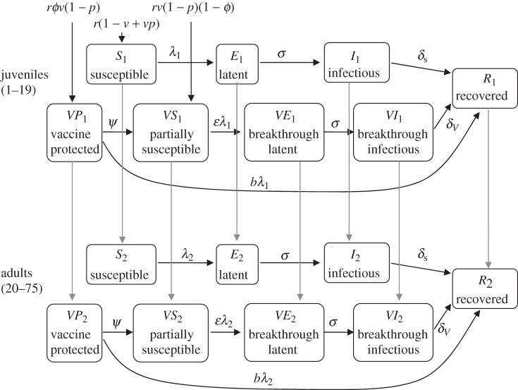 Figure 1.