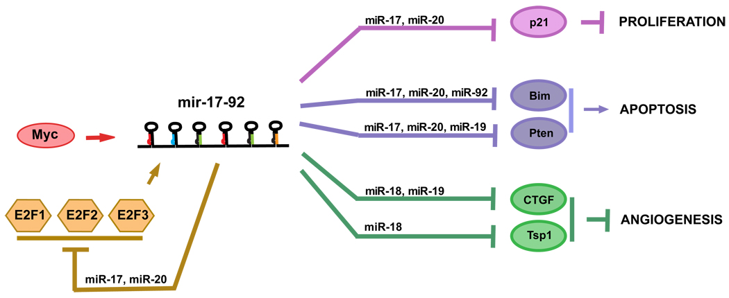 Fig2