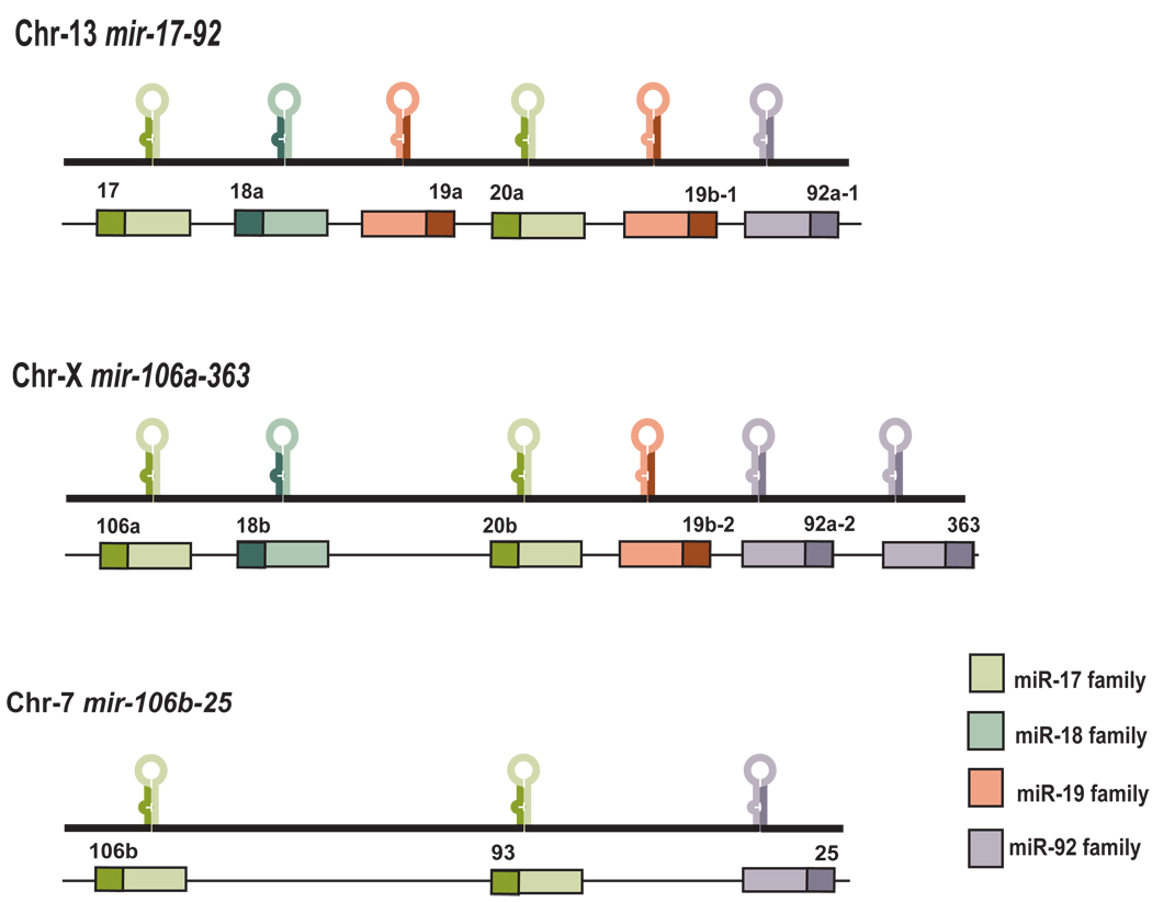 Fig1