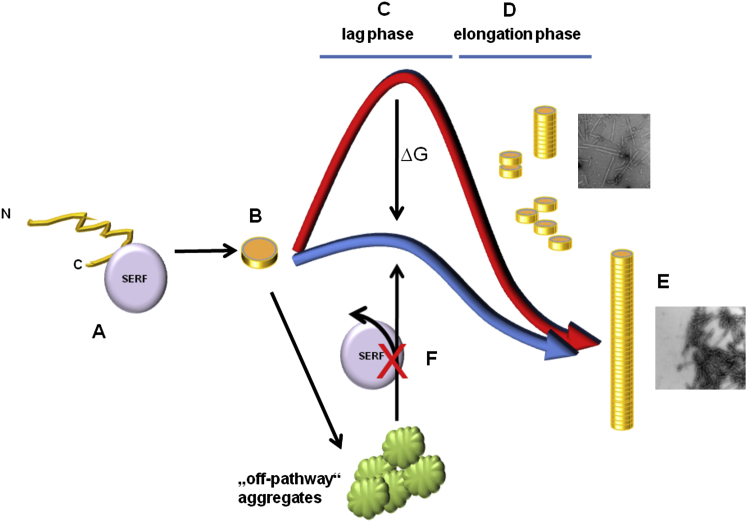 Figure 6