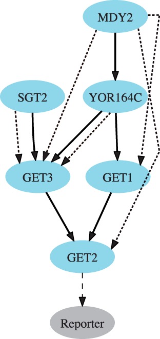 Fig. 7.