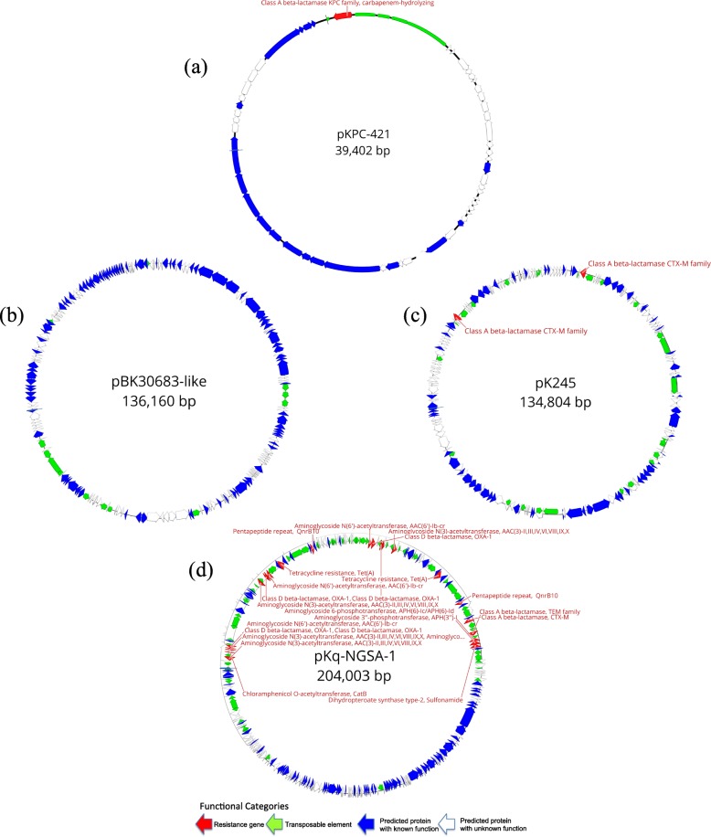 Fig. 2