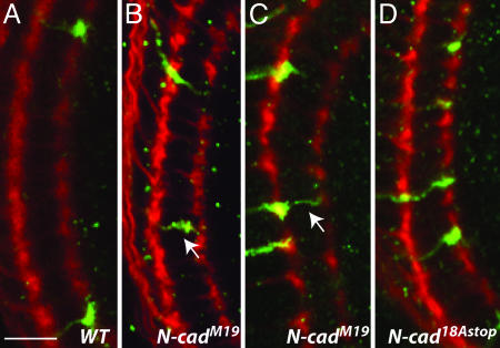 Fig. 2.