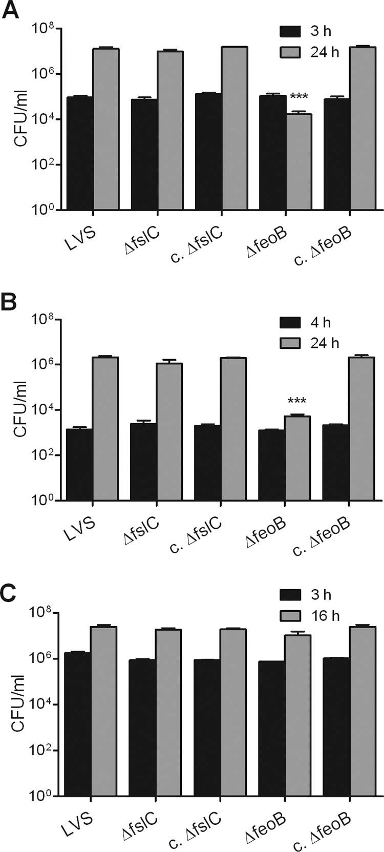 Fig 6