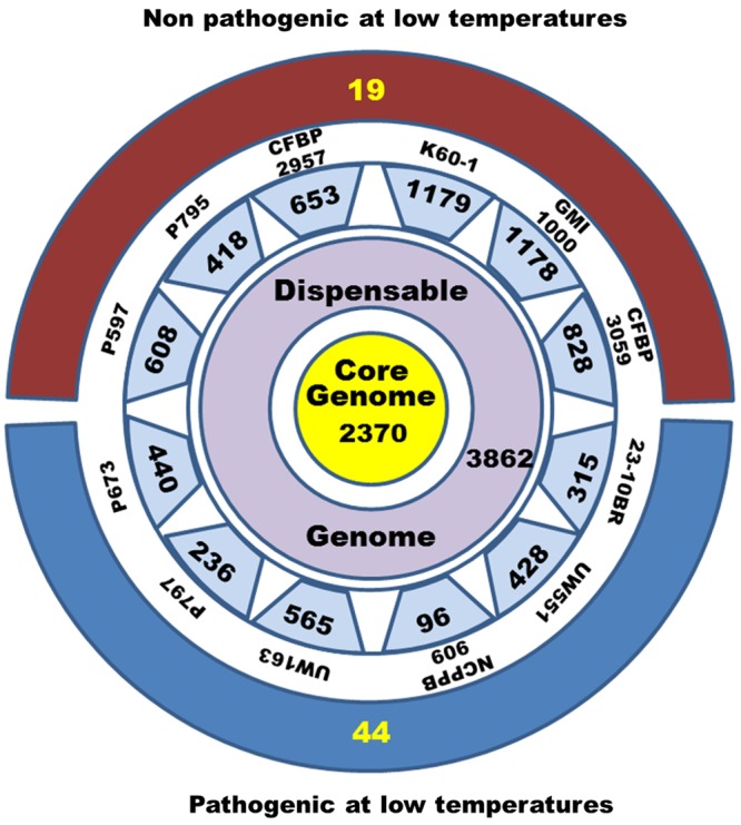 FIGURE 3