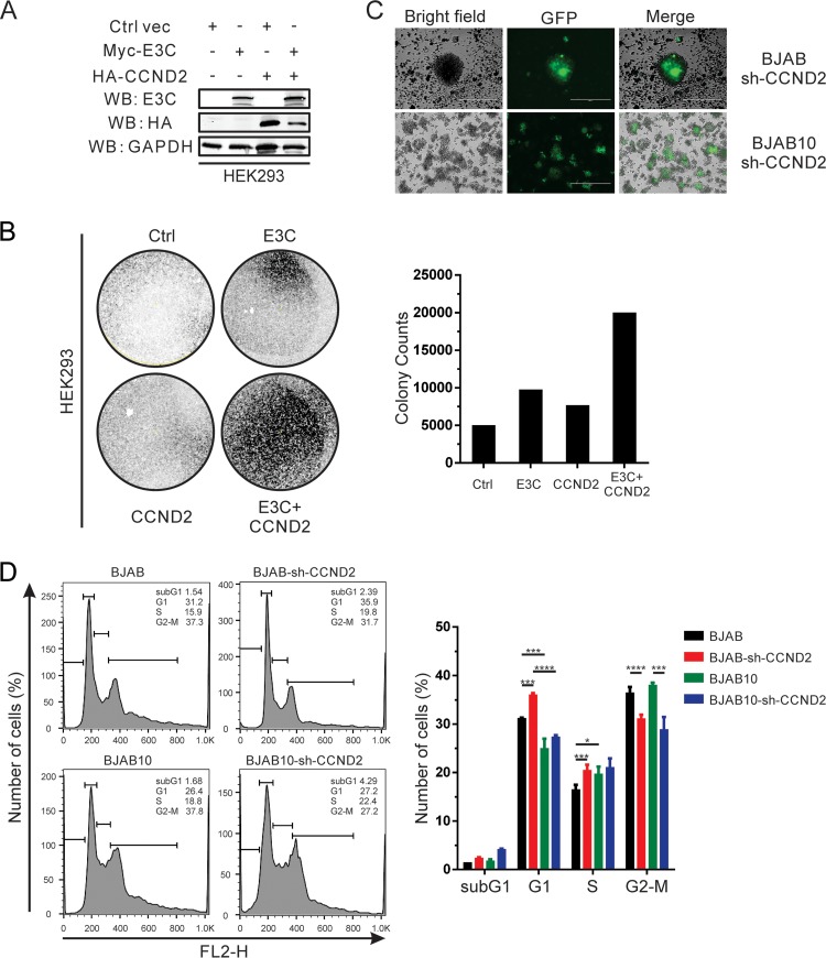 FIG 6