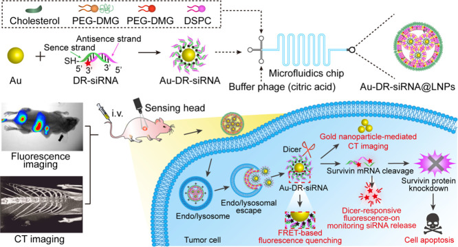 Image, graphical abstract