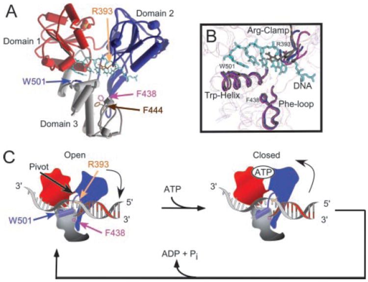 Fig. 10