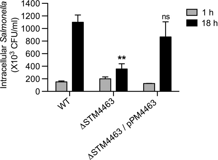 Fig 5