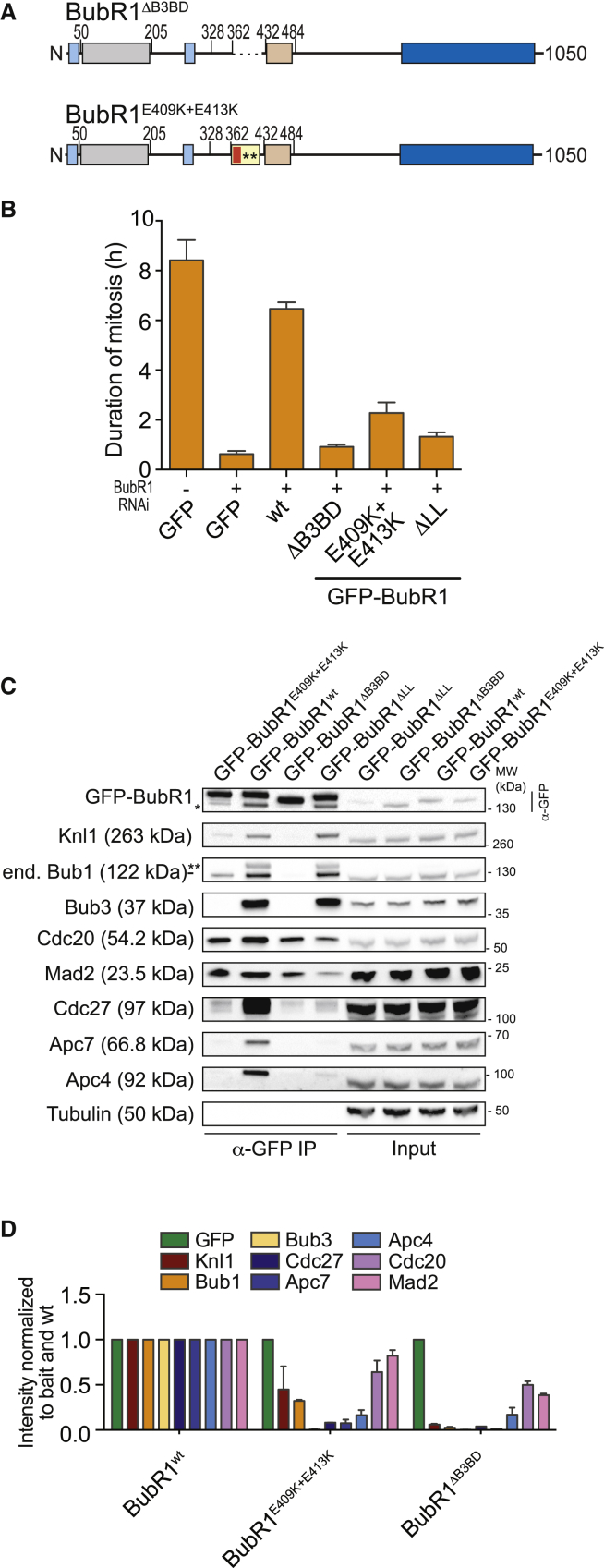 Figure 6