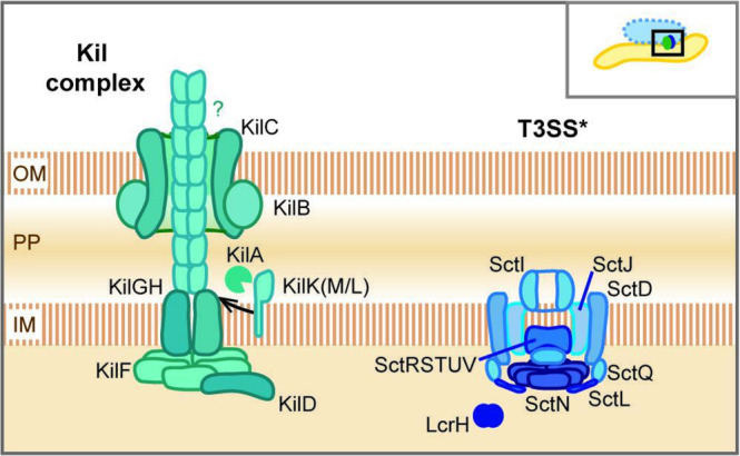 Fig. 2.