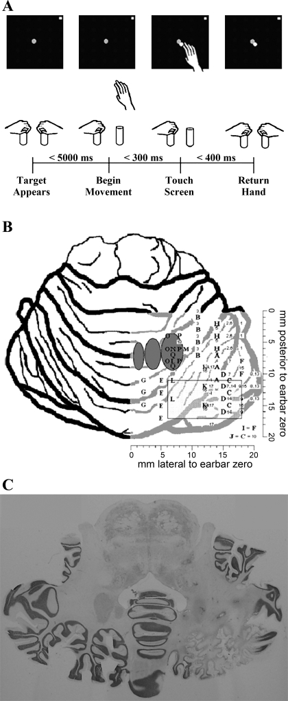 Fig. 1.