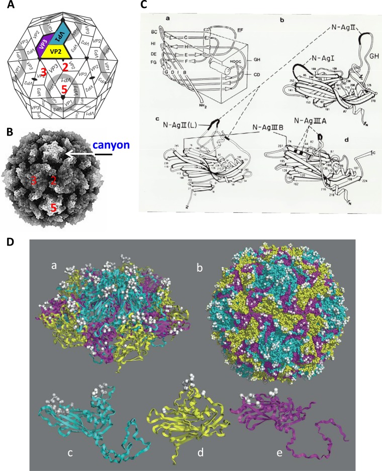 FIG 1