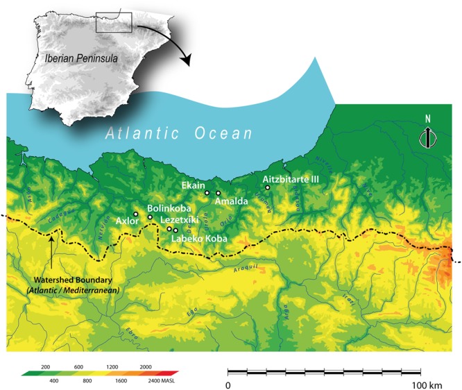 Figure 1