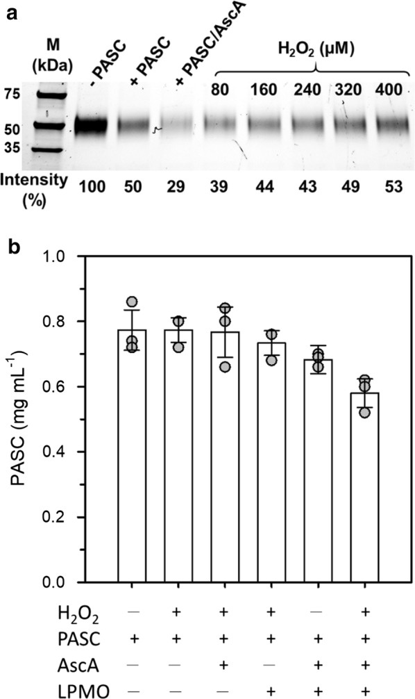 Fig. 5