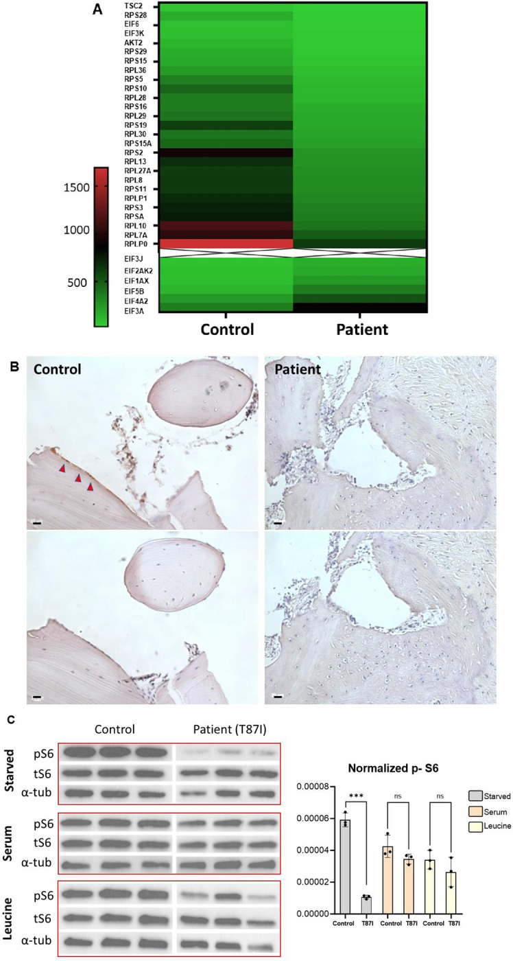 Fig 6