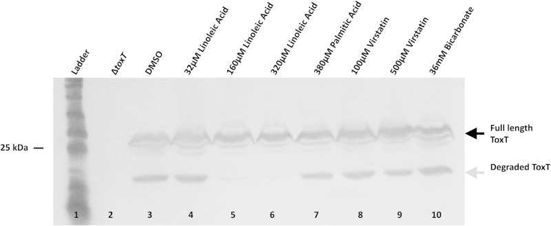 FIG 11