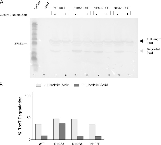 FIG 13