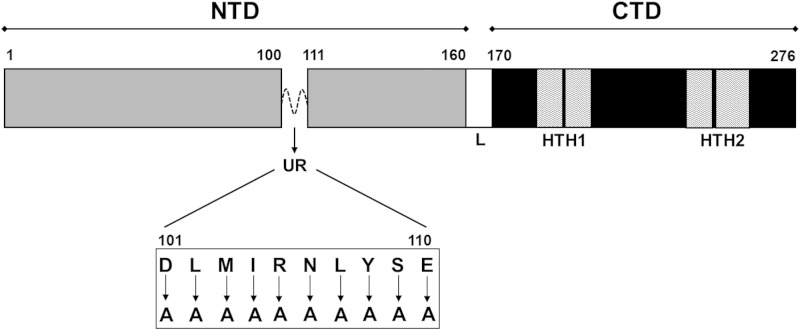 FIG 1