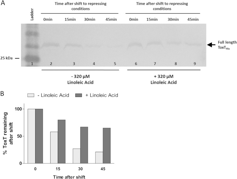 FIG 12