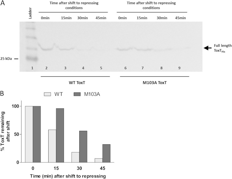 FIG 3