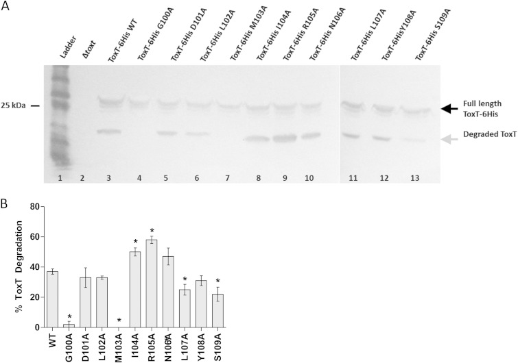 FIG 2