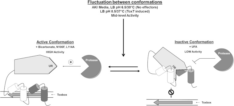 FIG 14