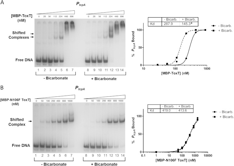 FIG 10