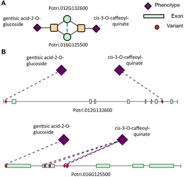 Figure 12