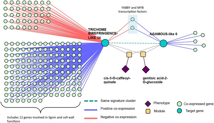 Figure 14