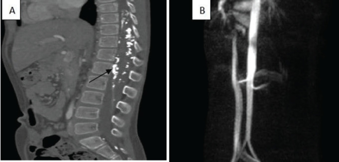 Figure 5.